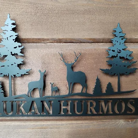 Rukan Hurmos דירה *